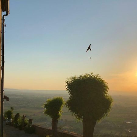 Una Pausa Te Per L'Anima - Casa Vacanza Cortona Exterior photo
